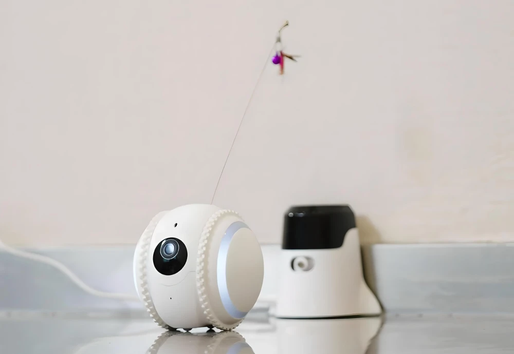 interactive pet camera for cats